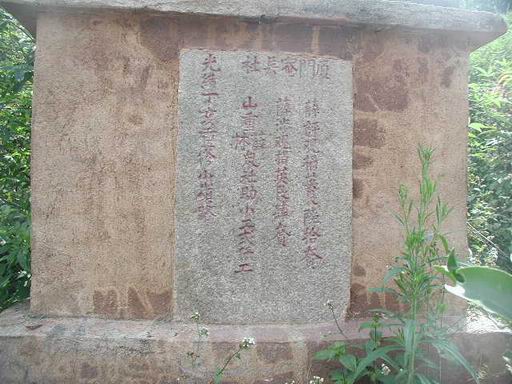 上传的图片