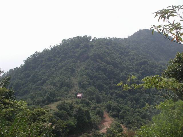 上传的图片