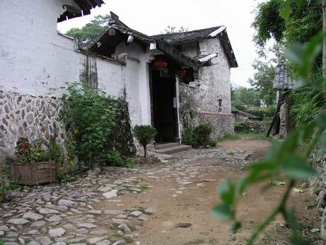 上传的图片