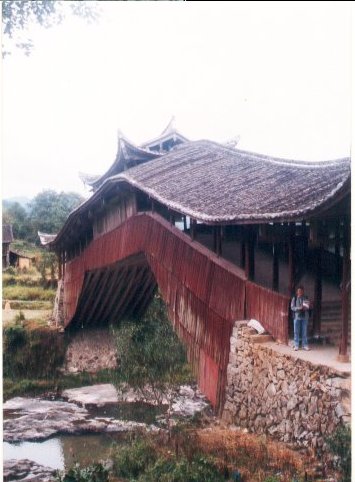 上传的图片