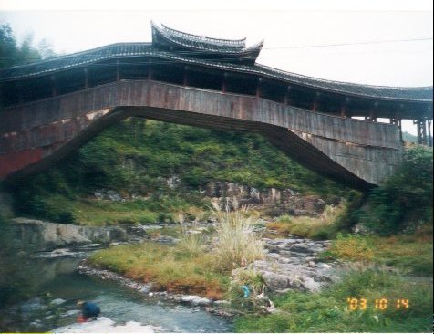 上传的图片