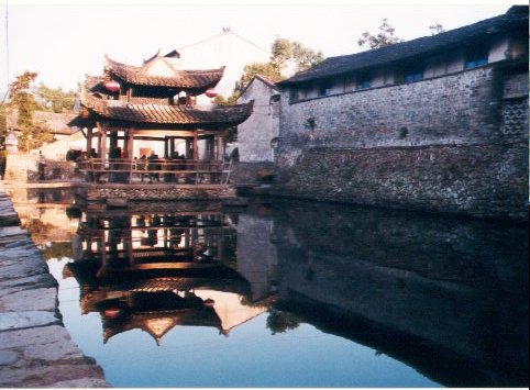 上传的图片