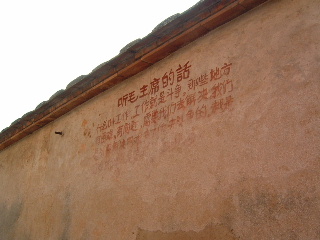 上传的图片