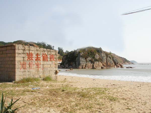 上传的图片