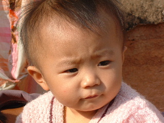 上传的图片