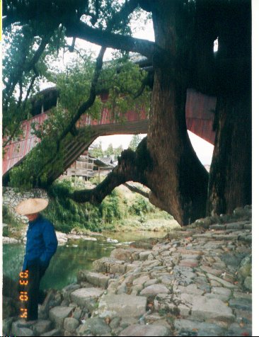 上传的图片
