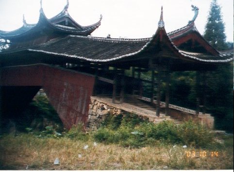 上传的图片