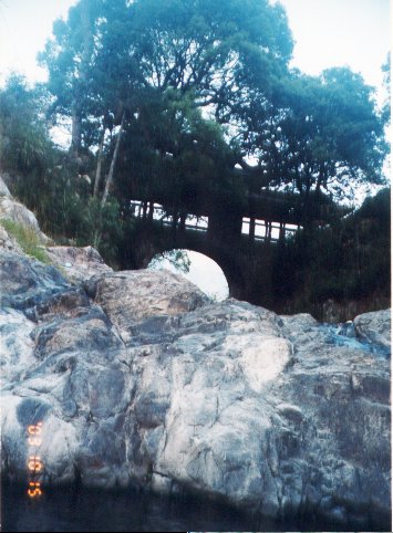 上传的图片