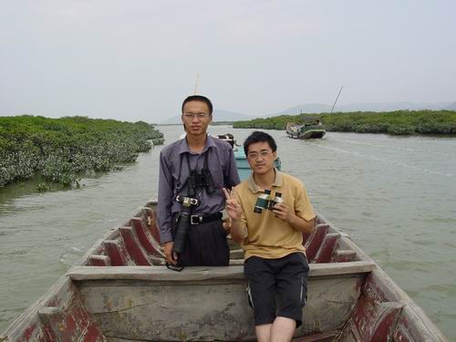 上传的图片