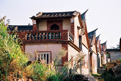 上传的图片