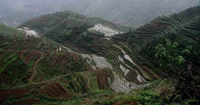 上传的图片