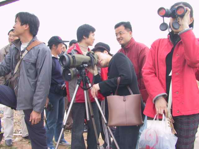 上传的图片