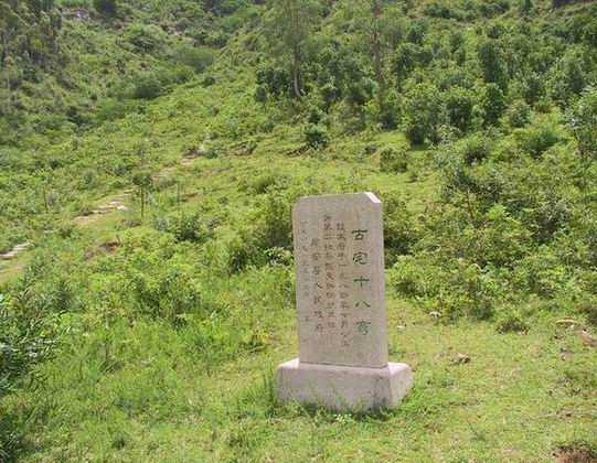上传的图片