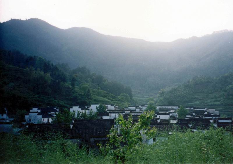 上传的图片