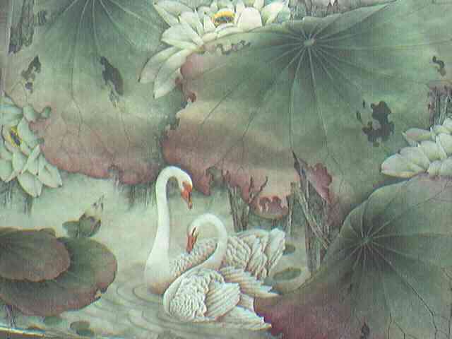 上传的图片