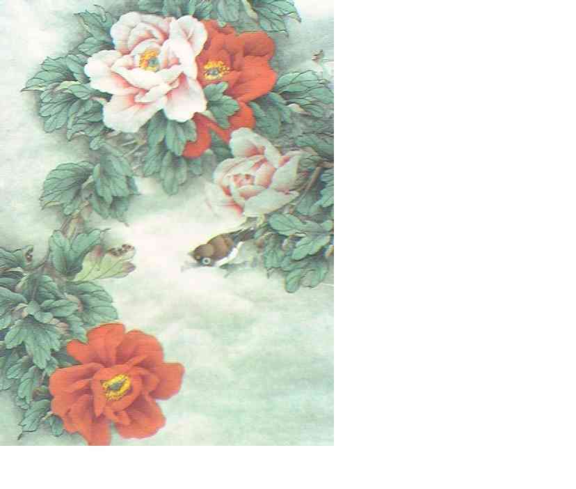 上传的图片