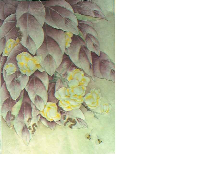 上传的图片