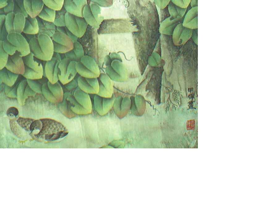 上传的图片