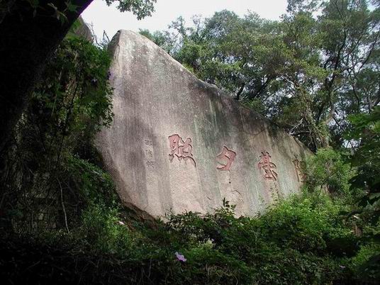 上传的图片