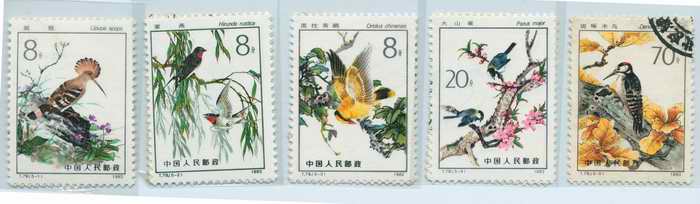 上传的图片