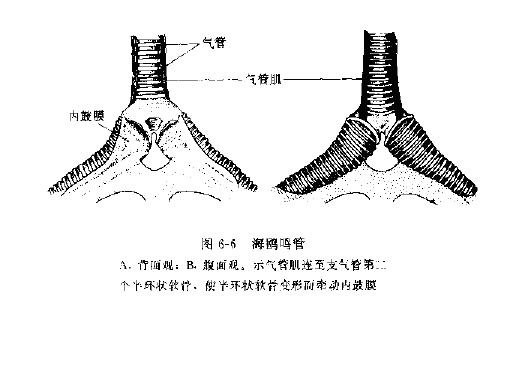 上传的图片