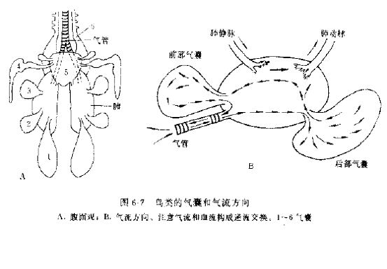 上传的图片