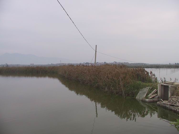 上传的图片