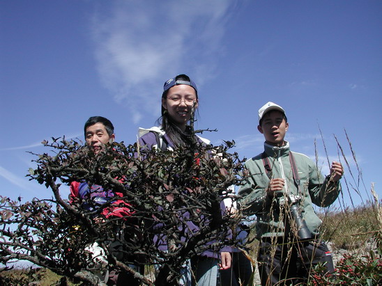 上传的图片