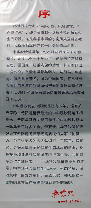 上传的图片