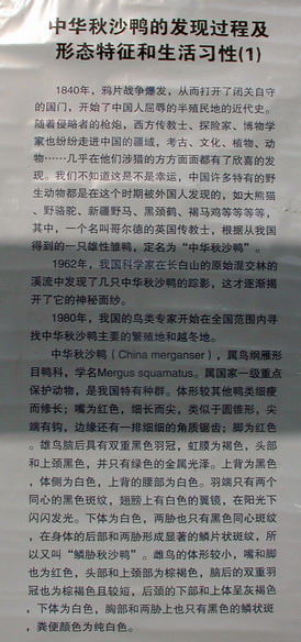 上传的图片