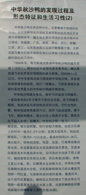 上传的图片