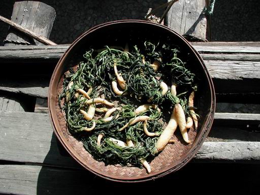 上传的图片