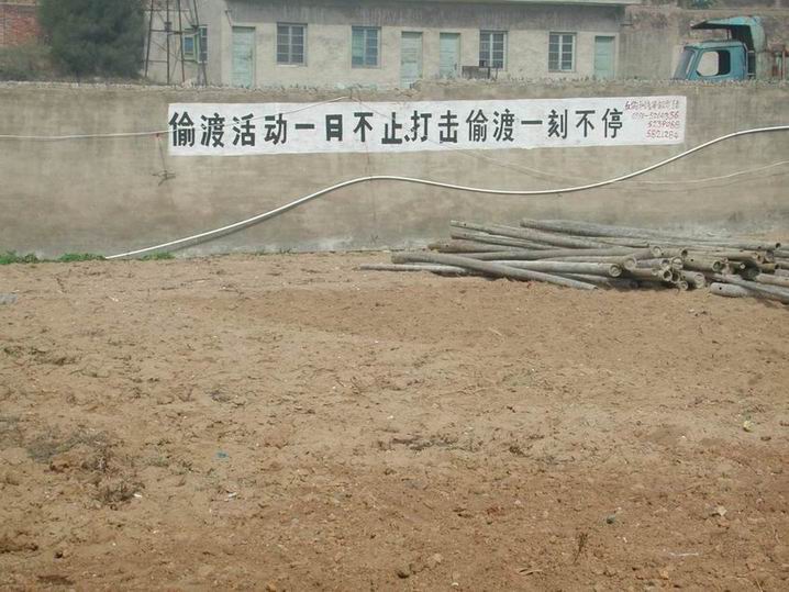 上传的图片
