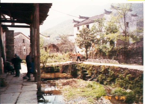 上传的图片
