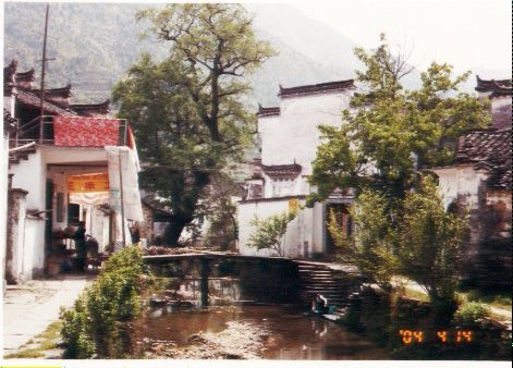 上传的图片