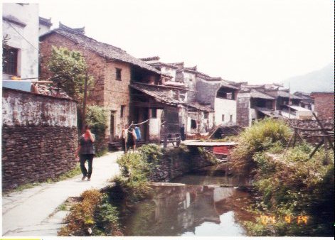 上传的图片