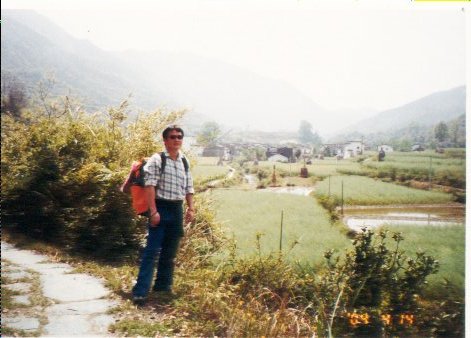 上传的图片