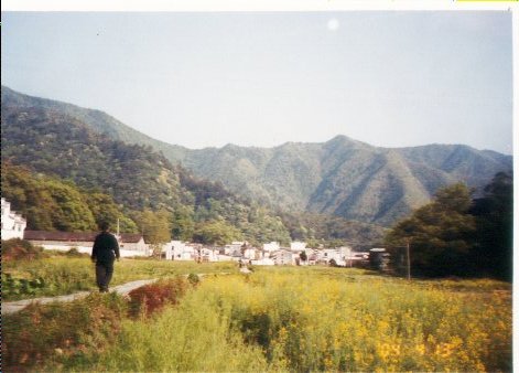 上传的图片