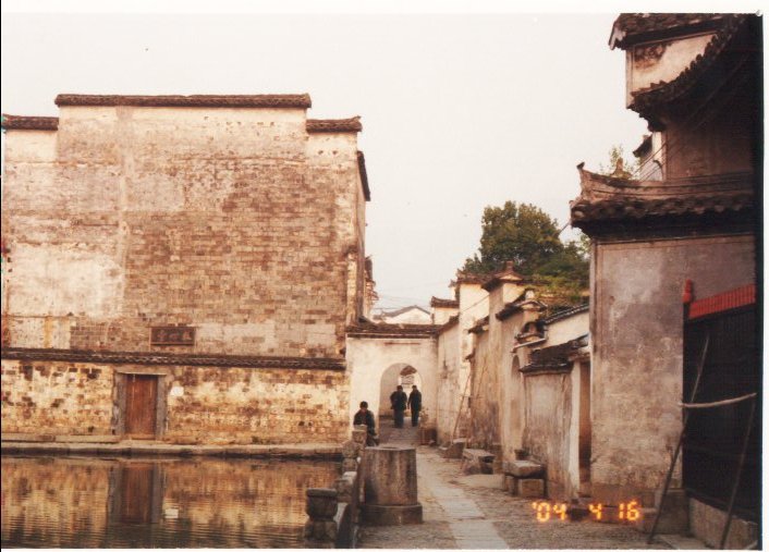 上传的图片