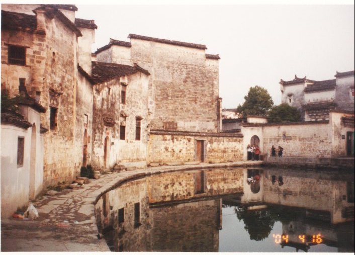 上传的图片