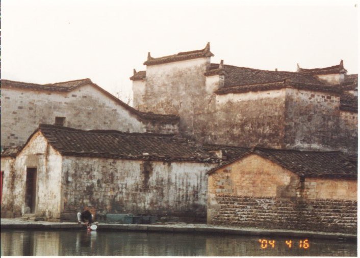 上传的图片