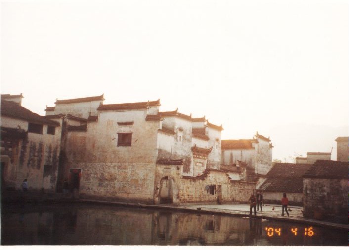 上传的图片