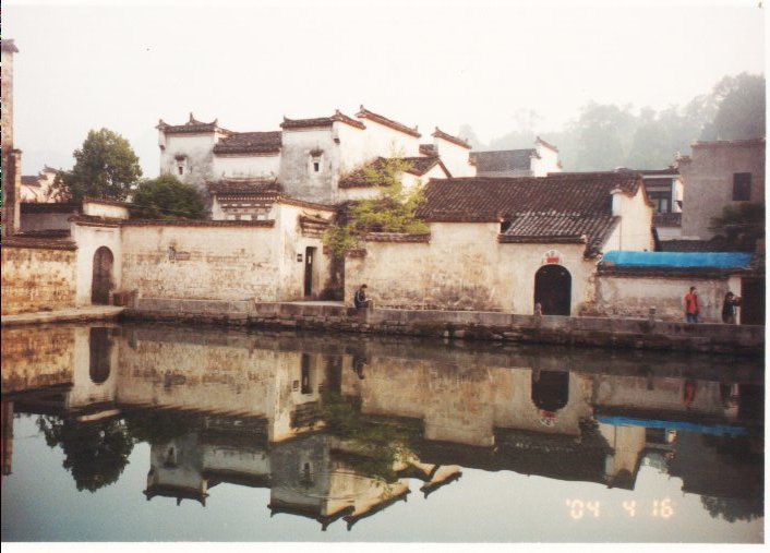 上传的图片