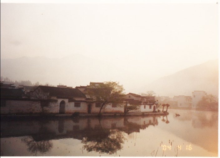 上传的图片