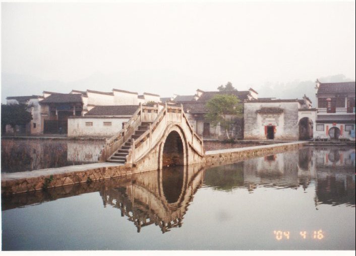 上传的图片