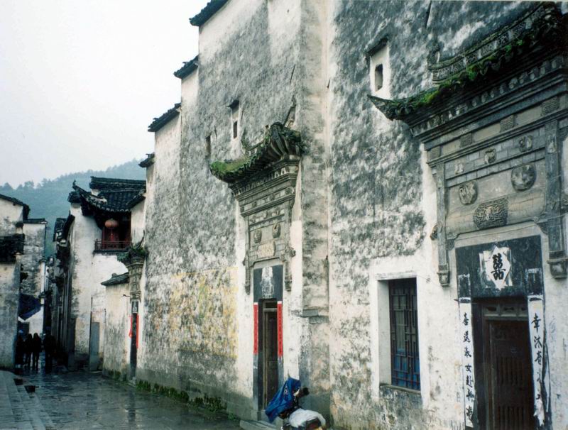 上传的图片