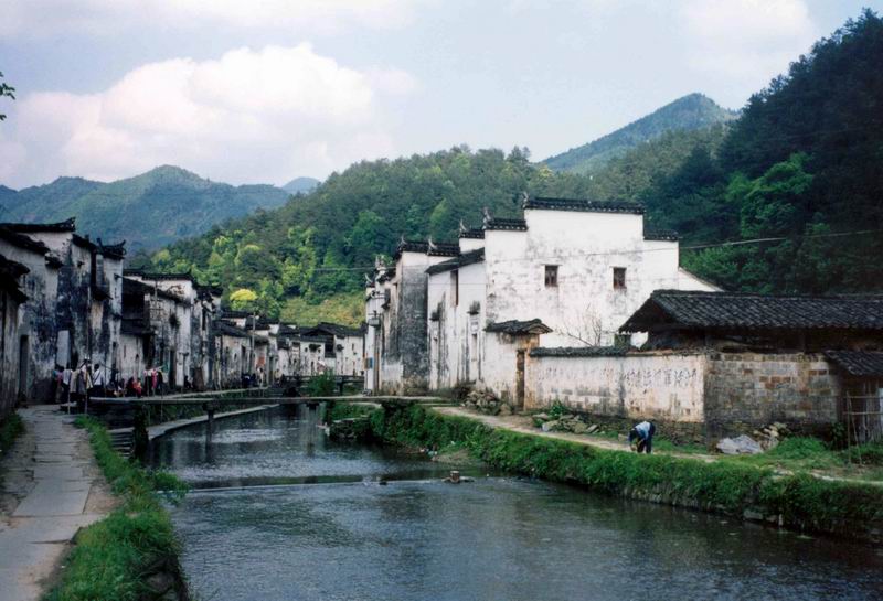 上传的图片