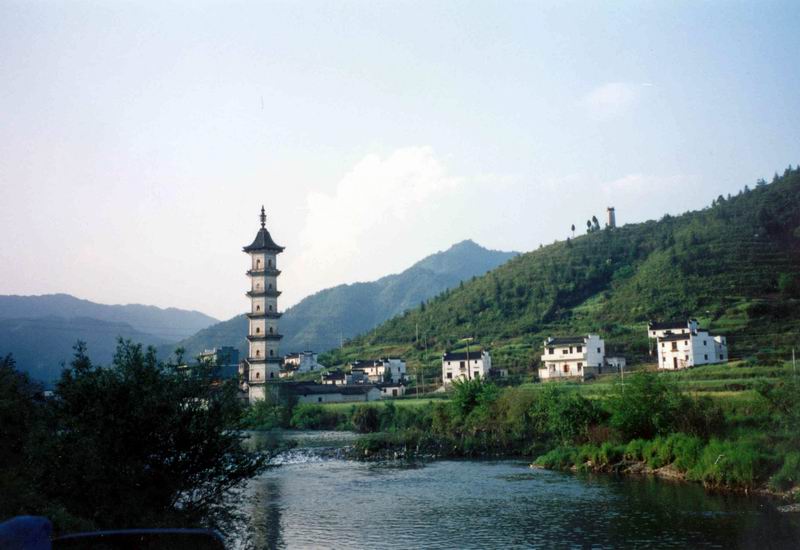 上传的图片