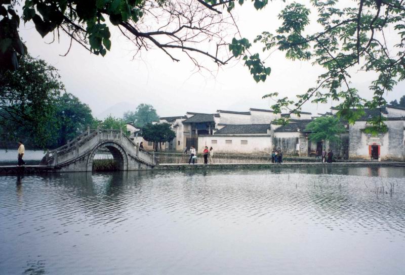 上传的图片
