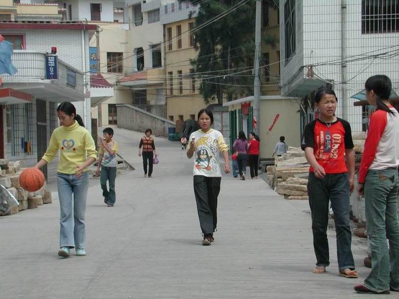 上传的图片